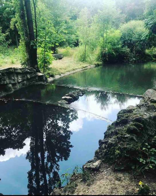 Appartamento Le Cocon 56 Vincennes Esterno foto